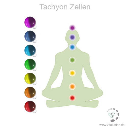 Tachyon-Zellen - ViGeno